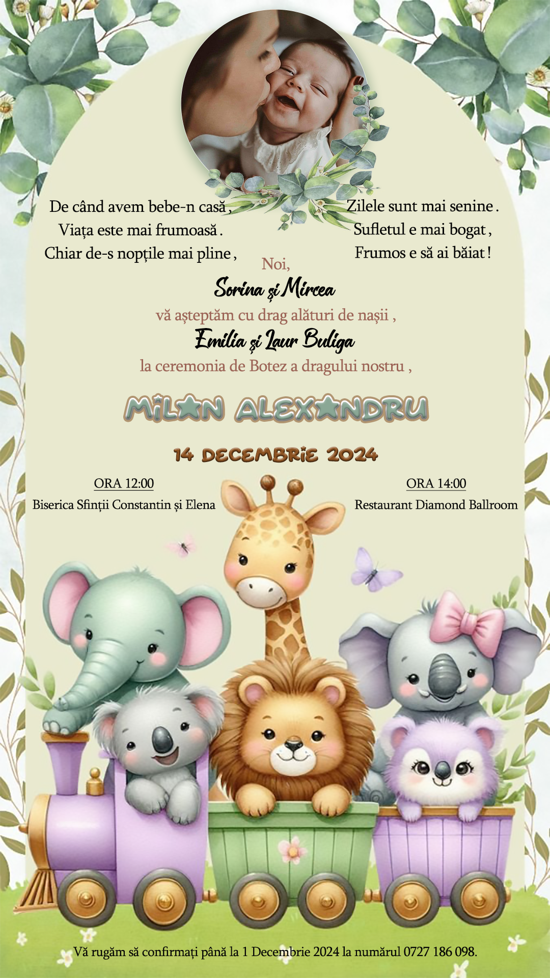 animalute invitatie baiat